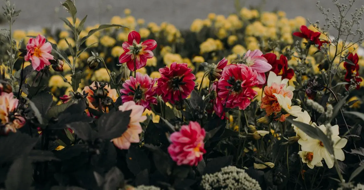 Mobilier de Jardin Ancien : Guide d'Achat Complet